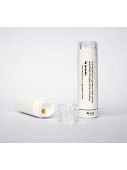 Conium maculatum 200K van Homeoden Heel