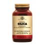 Solgar Oceanic Silica (Silicium) (50 capsules) van Solgar