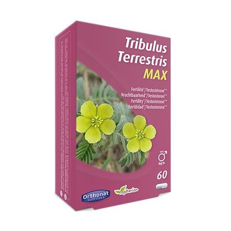 Tribulus terretris max van Orthonat
