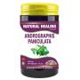 Andrographis paniculata 500mg puur van NHP
