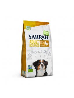 IJzer platinum van Mannavital