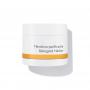 Dr Hauschka Reinigend masker (90 gram) van Hauschka