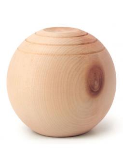 Geranium bourbon van Volatile