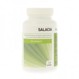 Chocopasta hazelnoot van Damhert