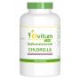 Chlorella 250mg Nederlands van Elvitum