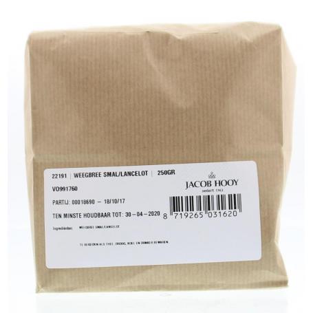 Weegbree smal van Jacob Hooy