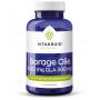 Vitakruid Borage Olie 1500 mg GLA 300 mg (60 softgels) van Vitakruid