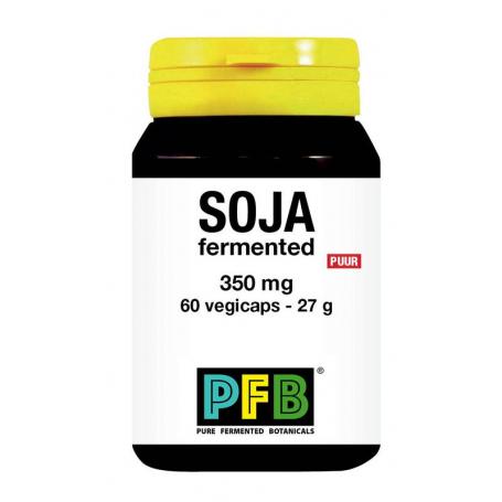Soja fermented puur van SNP