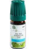 G&W Tea Tree Olie 10ML van G&W