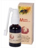 Michel Merlet Propolisspray Echinacea Tea Tree 20ML van Michel Merlet