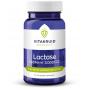 Vitakruid Lactase optiferm 3000 FCC (90 capsules) van Vitakruid