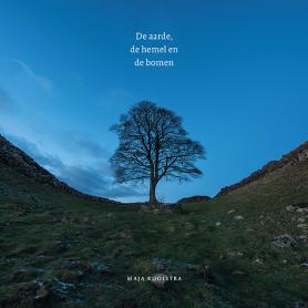 Zak blokbodem 60 gram 240 x 100 x 60 van Blockland