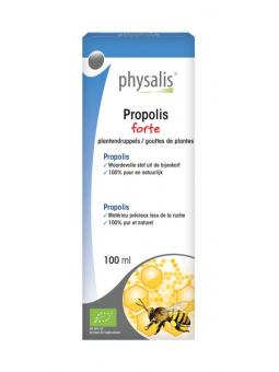Liposomal PEA cream 2000mg van Zendrops