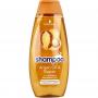 Shampoo argan oil & repair van Schwarzkopf