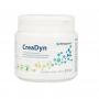 Metagenics Creadyn (293 gram) van Metagenics
