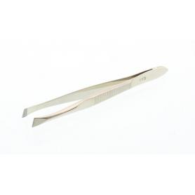 Lavendelbloemen van Jacob Hooy