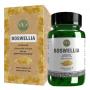 Boswellia capsules van Vanan