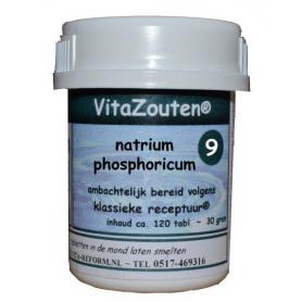 Natrium phosphoricum VitaZout Nr. 09