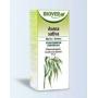 Avena sativa tinctuur bio van Biover