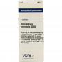 Anacardium orientale 200K van VSM