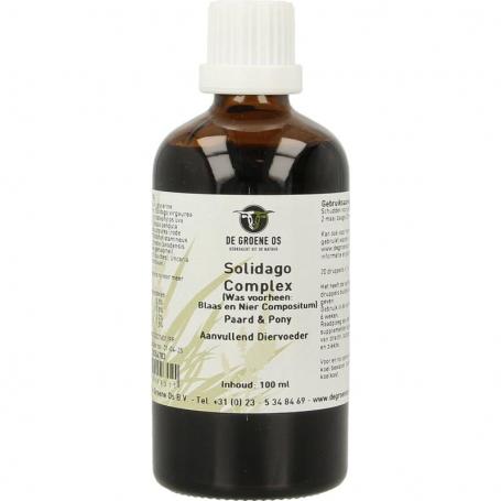 Solidago complex paard/pony van Groene Os