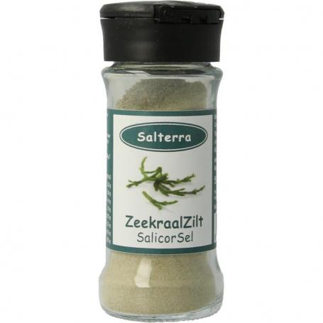 Zeekraalzilt fijn van Salterra