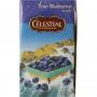 True blueberry herb tea van Celestial Season