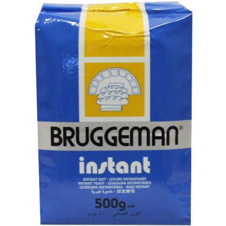 Instant gist van Bruggeman