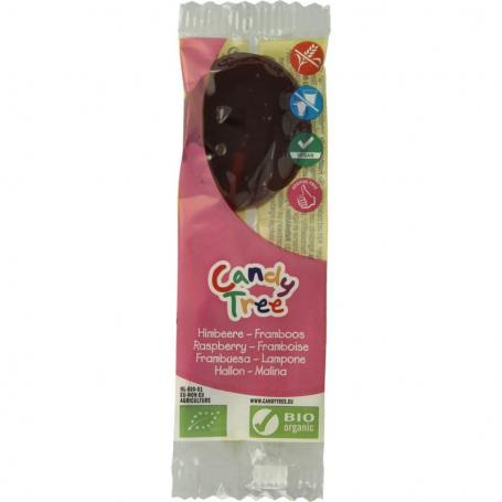 Frambozen lollie bio van Candy Tree