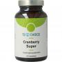 Cranberry super van TS Choice