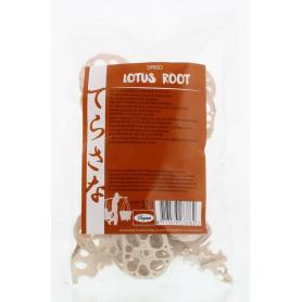 Solgar Gotu Kola Aerial Extract (100 capsules) van Solgar