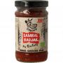 Sambal badjak bio van Onoff