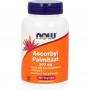 NOW Ascorbyl palmitaat 500 mg (100 capsules) van NOW