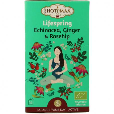 Lifespring echinacea, ginger & rosehip bio van Shoti Maa