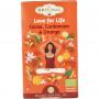 Love for life cocoa, cardamom & orange bio van Shoti Maa