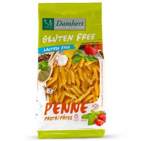 Pasta penne glutenvrij van Damhert