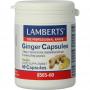Gember (ginger) van Lamberts