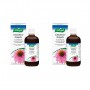 2X Vogel Echinaforce Druppels 100 ml van A Vogel