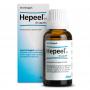 Hepeel H van Heel