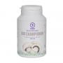 Champignon bio van Mycopower