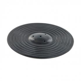 Lavendel Frankrijk cultivar van CHI