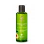 Apricot kerne oil bio van Primavera