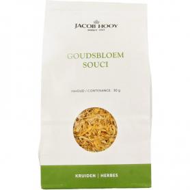 Jacob Hooy goudsbloem /jh