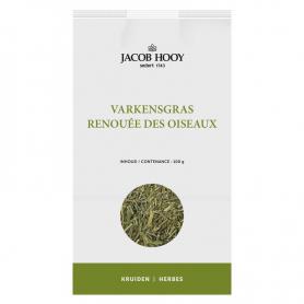 Moerasspirea/olmsprietjes van Jacob Hooy