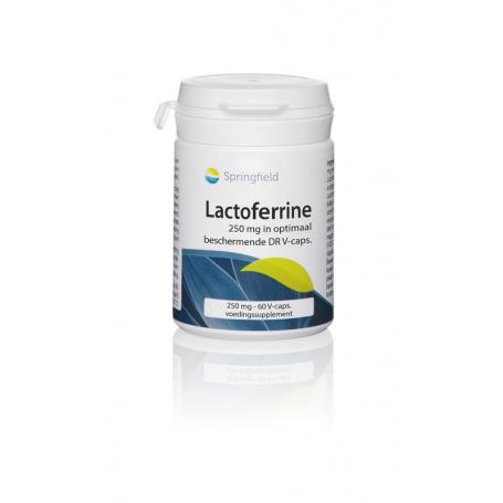 Lactoferrine DR 250mg