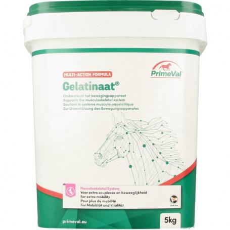 Gelatinaat paard van Primeval