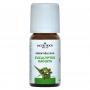 Eucalyptus radiata olie van Jacob Hooy