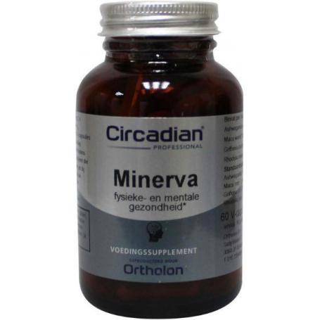 Minerva van Circadian