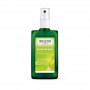 Citrus Deodorant Spray van Weleda