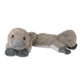 Kattekruid van Jacob Hooy